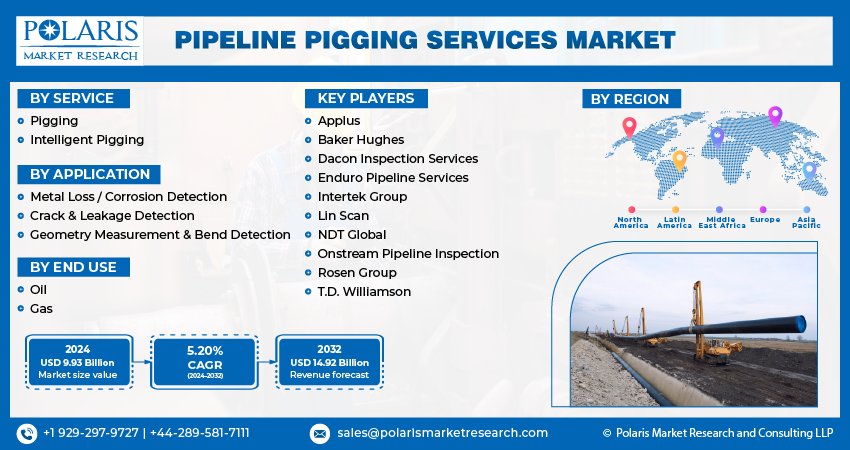 Pipeline Pigging Services Market Size